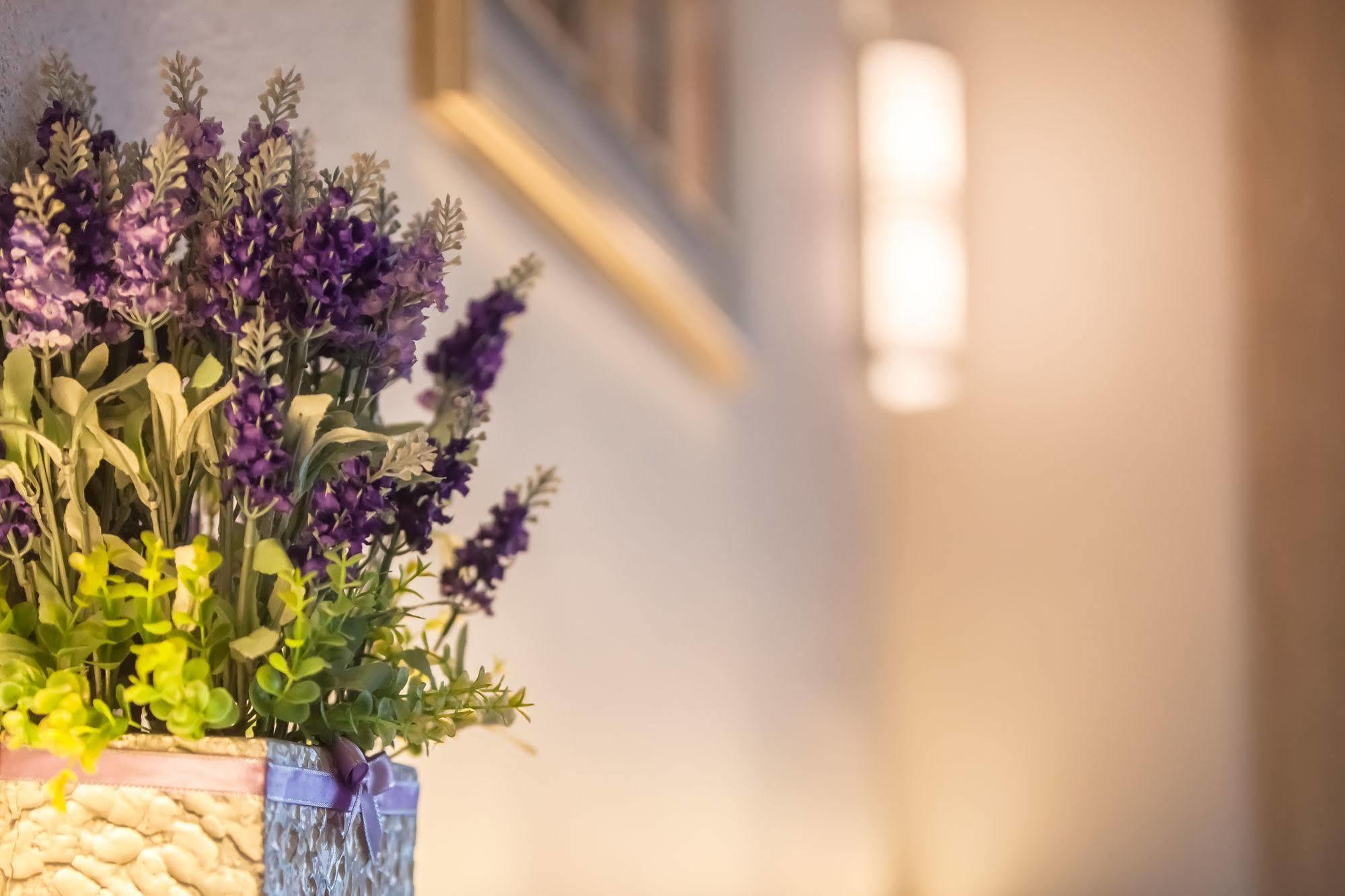 Lavender Inn Nusa Bestari Johor Bahru Bagian luar foto